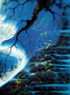 eyvind earle mystical big sur