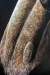 judy larson original painting