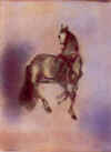 moti cheval dresse