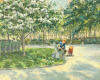 Christian Title In the Park