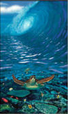 Wyland Turtle Time